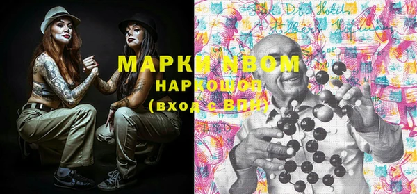 мдпв Верхний Тагил