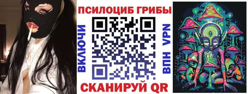 Псилоцибиновые грибы прущие грибы  Новосокольники 