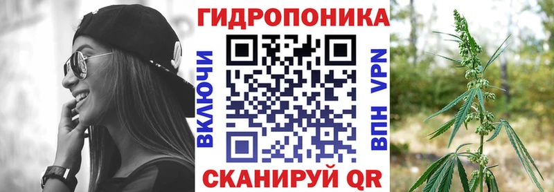 Бошки марихуана план  Новосокольники 